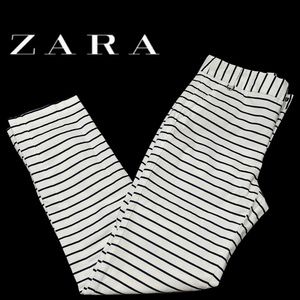 Zara Basic Collection Dress Pants